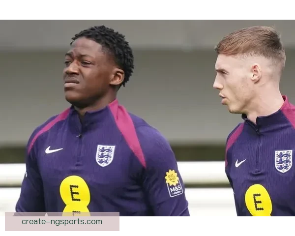 欧洲五大联赛最新动态：豪门纷纷发力，新星崛起掀起赛季变革